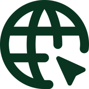 domain icon2