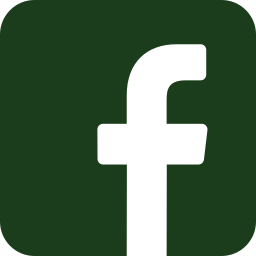 facebook ICON2